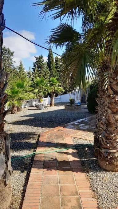 הוילה Valle de Abdalagís Charming House With Pool & Barbecue מראה חיצוני תמונה